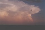 cumulonimbus_incus