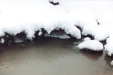 snow_pictures