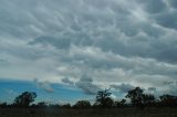 mammatus_cloud