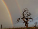 Purchase a poster or print of this weather photo