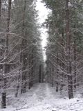 Purchase a poster or print of this weather photo