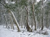 Purchase a poster or print of this weather photo