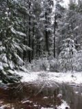 snow_pictures