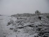 Australian Severe Weather Picture