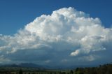 cumulonimbus_calvus