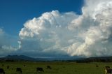 cumulonimbus_incus