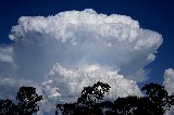 cumulonimbus_incus