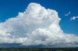 cumulonimbus_calvus