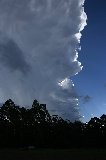 cumulonimbus_incus