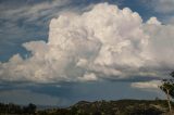 cumulonimbus_calvus