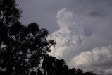 cumulonimbus_calvus