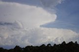 cumulonimbus_incus