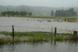 flood_pictures