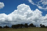 cumulonimbus_calvus