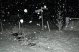 snow_pictures