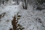 snow_pictures