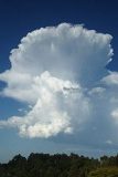 cumulonimbus_incus