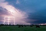 Australian Severe Weather Picture