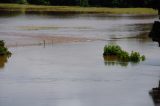 26th January 2012 Lismore flood pictures