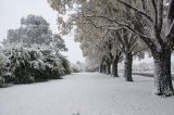 Australian Severe Weather Picture