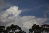 Australian Severe Weather Picture