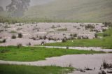 22nd February 2013 Lismore flood pictures