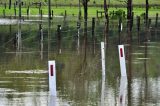 23rd February 2013 Lismore flood pictures