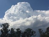 Australian Severe Weather Picture