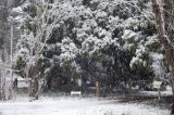 Australian Severe Weather Picture