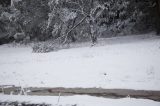 Australian Severe Weather Picture