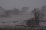 Australian Severe Weather Picture