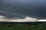 Australian Severe Weather Picture