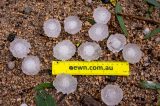 Australian Severe Weather Picture