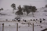 Australian Severe Weather Picture