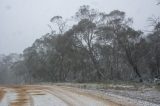 Australian Severe Weather Picture