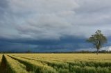 Australian Severe Weather Picture