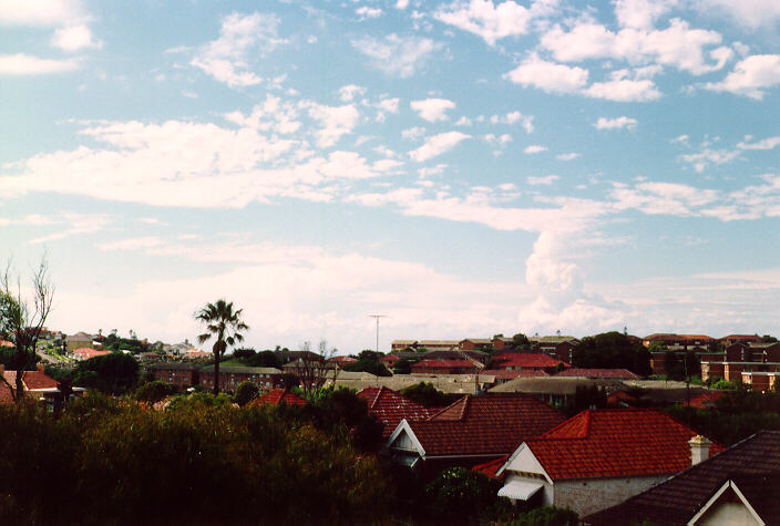 cumulus congestus : Coogee, NSW   10 February 1990