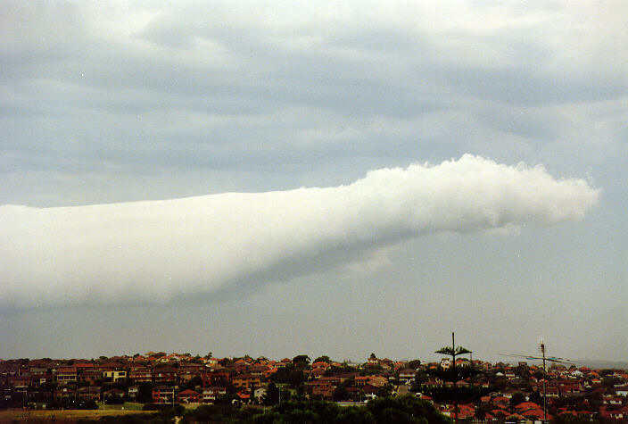 stratocumulus stratocumulus_cloud : Coogee, NSW   5 February 1991