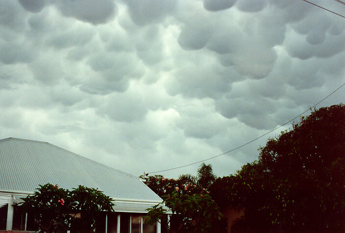 mammatus mammatus_cloud : Ballina, NSW   22 December 1991