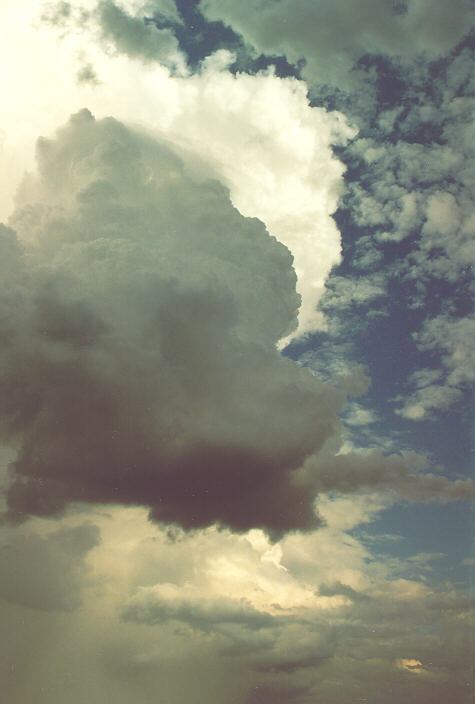 updraft thunderstorm_updrafts : Oakhurst, NSW   24 January 1993