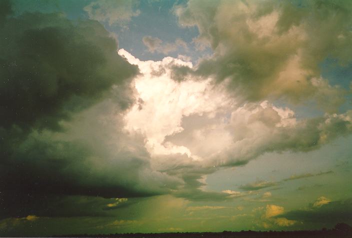 cumulus congestus : Schofields, NSW   4 December 1993