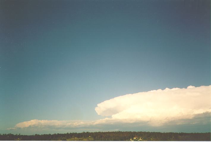 thunderstorm cumulonimbus_incus : Schofields, NSW   26 December 1993