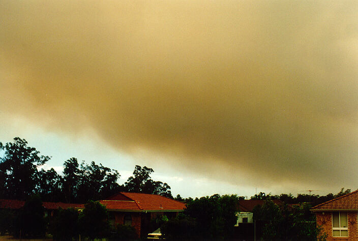 bushfire wild_fire : Oakhurst, NSW   8 January 1994