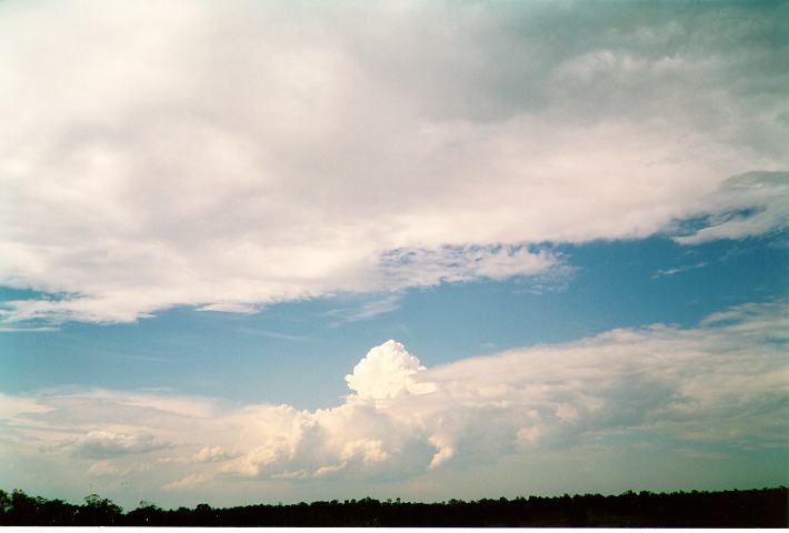 altocumulus altocumulus_cloud : Schofields, NSW   6 February 1994