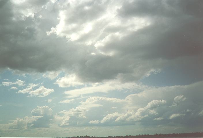 cumulus congestus : Schofields, NSW   13 September 1994