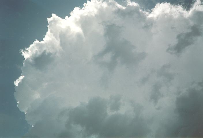 updraft thunderstorm_updrafts : Schofields, NSW   13 September 1994