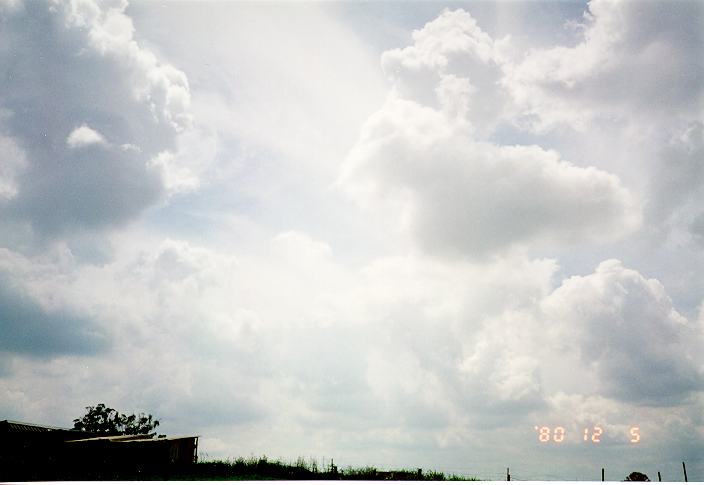 cirrus cirrus_cloud : Schofields, NSW   11 January 1995