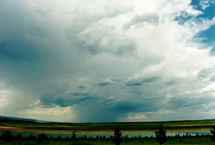 cumulonimbus thunderstorm_base : Castlereagh, NSW   5 February 1995