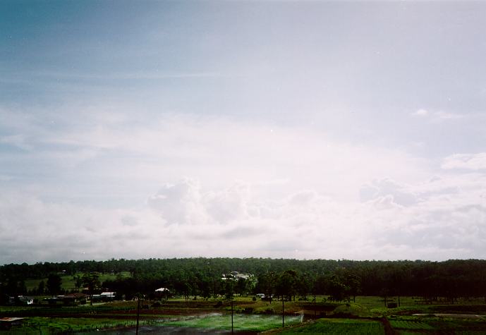 cumulus congestus : Schofields, NSW   11 February 1995