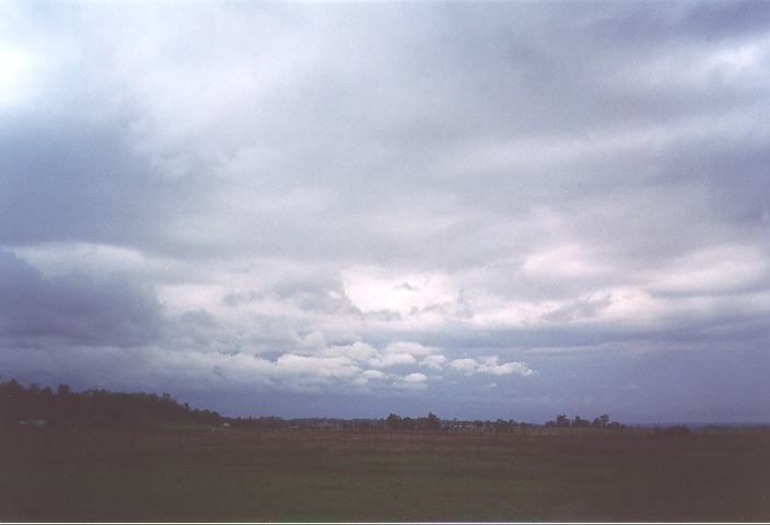 stratocumulus stratocumulus_cloud : Freemans Reach, NSW   24 September 1995